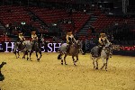 Quadrille - 00783